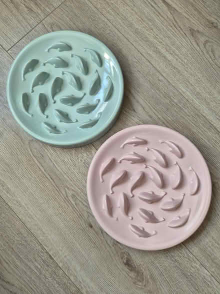 Photo of free Pet Food Puzzle Bowls (Abingdon OX14) #1