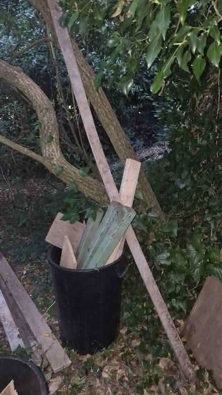 Photo of free Various Wood (hucknall ng15) #2