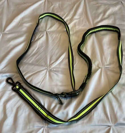 Photo of free Dog leads/ collars (Swindon SN5) #2