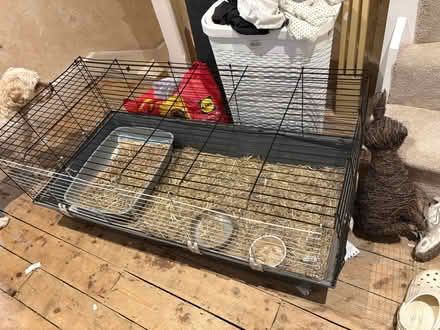 Photo of free Large guinea pig / rabbit cage (Addiscombe CR0) #1
