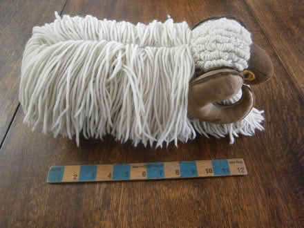 Photo of free Family sheep (Denham UB9) #3