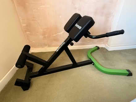 Photo of free Komodo back hyperextension bench (Near Thirsk YO7) #1