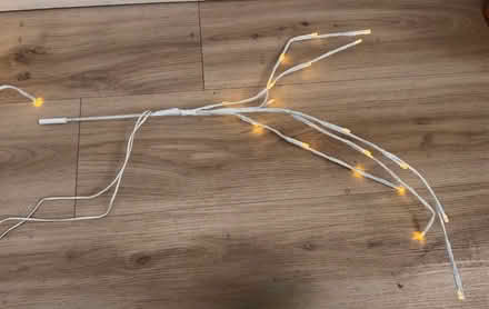 Photo of free Light up branches (Ware SG12) #2