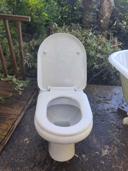 Photo of free Toilet (Fiveways, Brighton BN1) #2