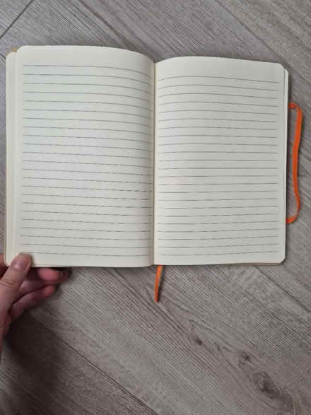 Photo of free easyJet Branded Notebook (Abingdon OX14) #3