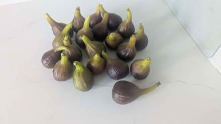 Photo of free Figs (West Minster ME12) #1