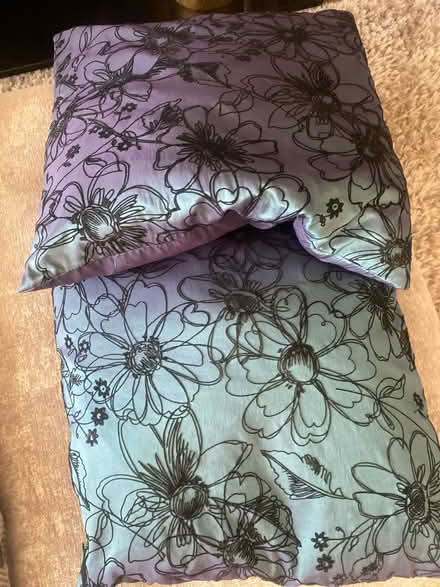 Photo of free 2 blue/ green cushions (Forest green) #1