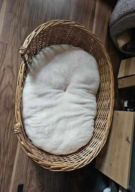 Photo of free Pet bed cat or small dog (Edinburgh EH6) #2