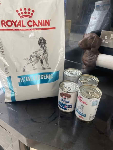 Photo of free Hypoallergenic dog food (Cobham) #1