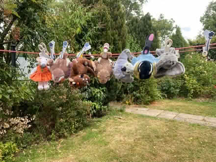 Photo of free Small cuddlies (Youlgreave DE45) #1