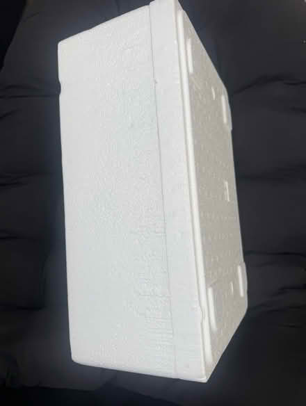Photo of free Insulated food box - medium (Beaconsfield HP9) #4