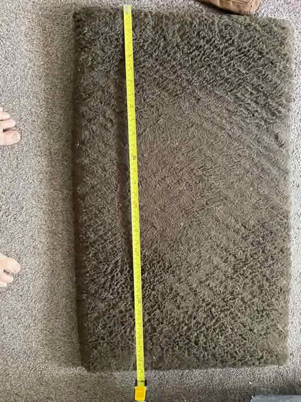 Photo of free Dog crate mat #2 (Chelmsford CM2) #2