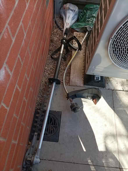 Photo of free Gardening staff (Bishop's Tachbrook CV33) #1