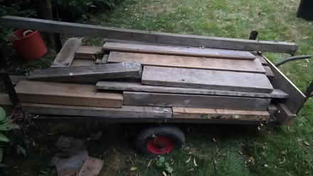 Photo of free Various Wood (hucknall ng15) #1