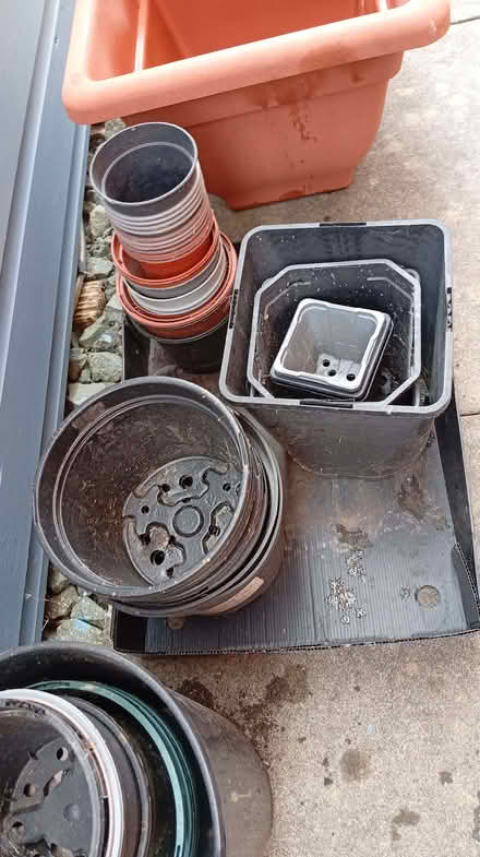 Photo of free Plant pots (Llandrinio SY22) #3