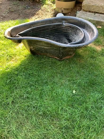 Photo of free Small and ground pond (Palmer/ware area) #3