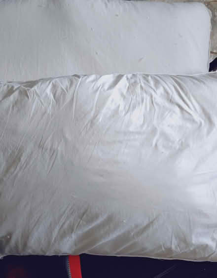 Photo of free 2x pillows (St Ives TR26) #1