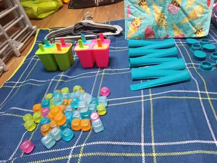 Photo of free Summer & Outdoor & Household Stuff (Bruntsfield EH10) #3