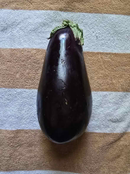 Photo of free 1 Large Aubergine Eggplant (West 7th) #1