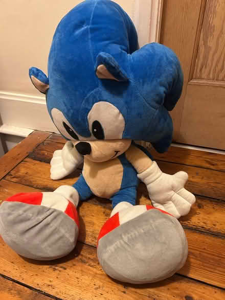 Photo of free Sonic plushie. Large (Bowerham LA1) #1