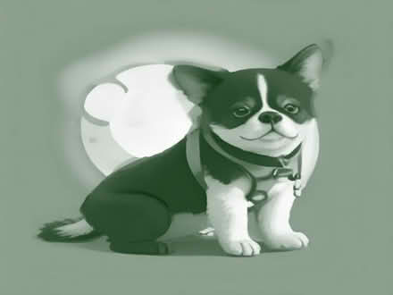 Photo of Retractable dog lead (Bocking CM7) #1