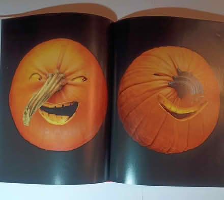 Photo of free Book: Play with Your Food (W section, Bowie) #3