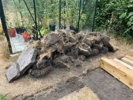 Photo of free Freshly lifted Turf (Riverhead TN13) #2