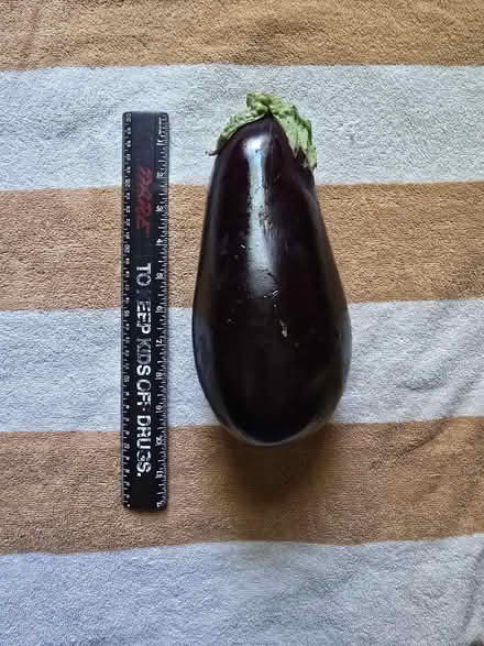 Photo of free 1 Large Aubergine Eggplant (West 7th) #2