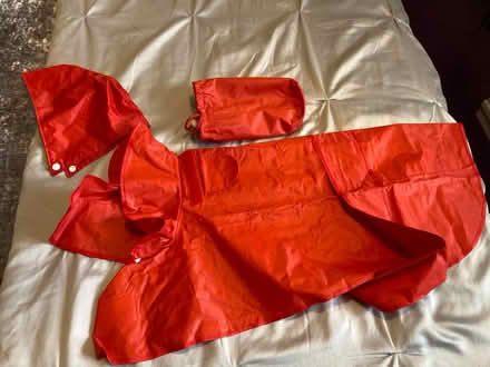 Photo of free Dog coats (Swindon SN5) #2