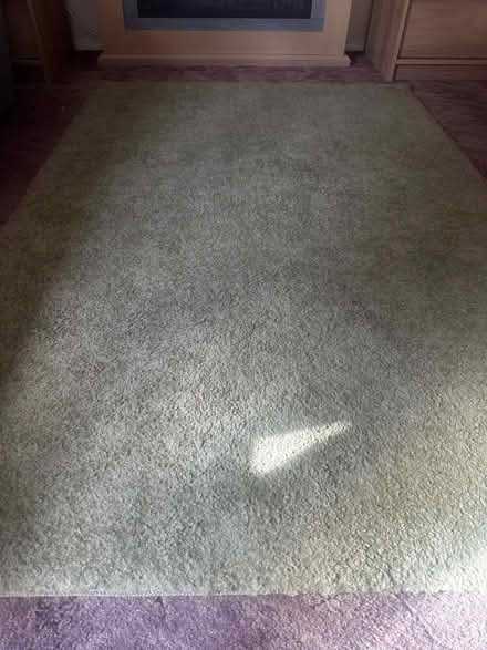 Photo of free Rug, light geeen (Milton OX14) #1