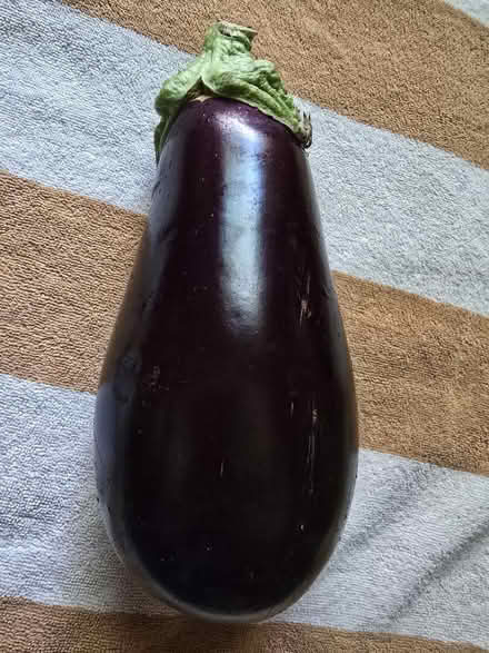 Photo of free 1 Large Aubergine Eggplant (West 7th) #3
