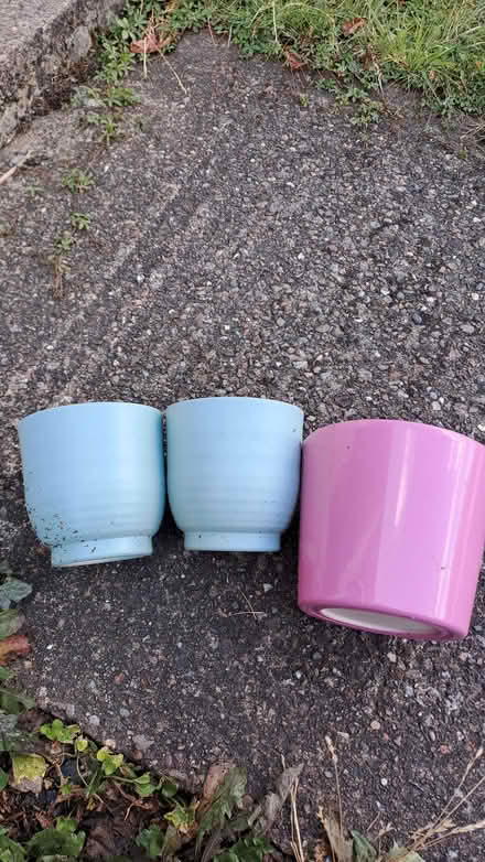 Photo of free 3 pots. (Sherrard's Green WR14) #1