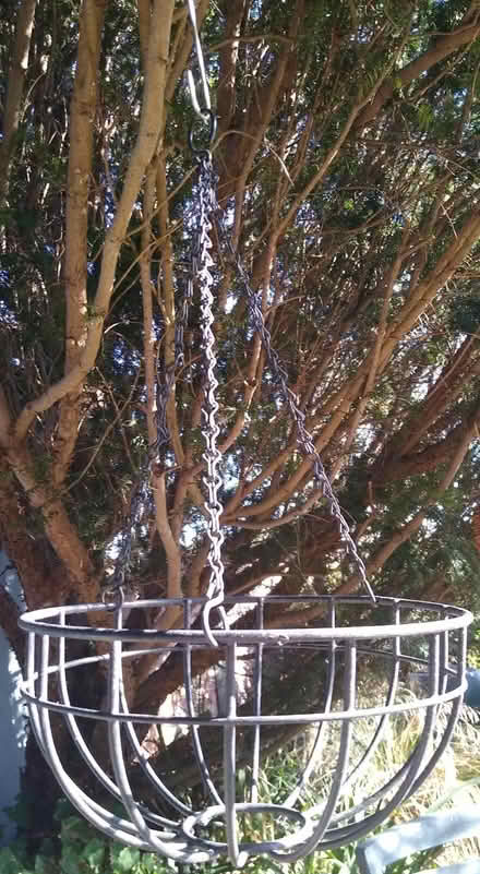 Photo of free 3 x Garden Hanging Baskets (Thorpe Bay, SS1) #1