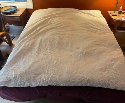 Photo of free White goose feather comforter (San Anselmo) #1