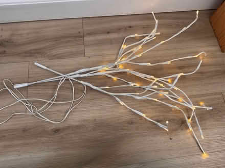 Photo of free Light up branches (Ware SG12) #3