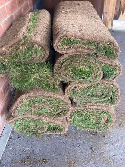 Photo of free Grass turfs (Aston Clinton) #1
