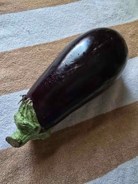 Photo of free 1 Large Aubergine Eggplant (West 7th) #4
