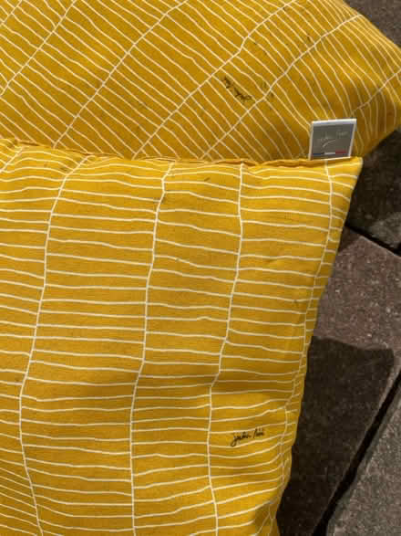 Photo of free 3 outdoor cushions (Nr. Sidmouth) #2
