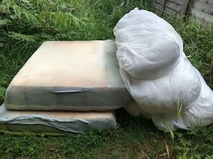 Photo of free Foam for Craft / Upholstery (Hailsham BN27) #1