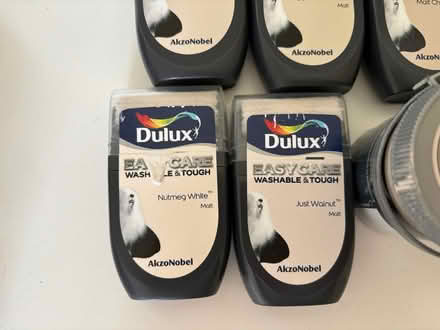 Photo of free Dulux and Wickes paint samples (Oughtibridge S35) #2