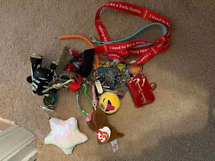 Photo of free Key chain collection (Sylvan Lake, Michigan) #1