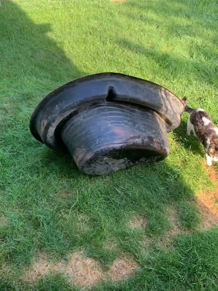 Photo of free Small and ground pond (Palmer/ware area) #1