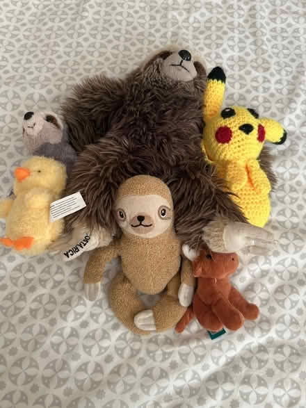 Photo of free Bundle of Cuddly toys (Wivenhoe CO7) #1