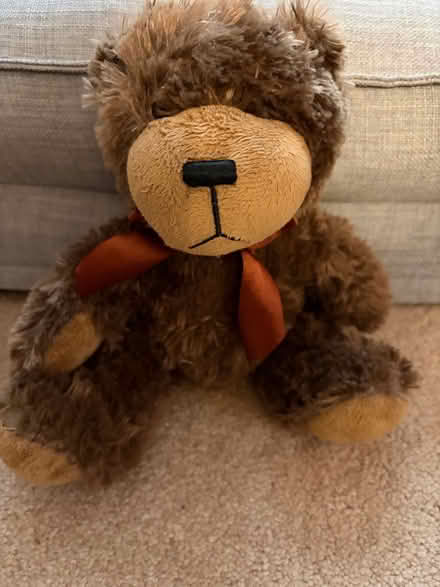 Photo of free Cute little teddy bear (Sylvan Lake, Michigan) #1