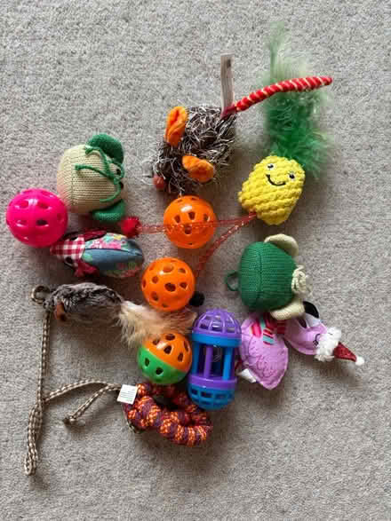 Photo of free Cat toys (Oughtibridge S35) #1
