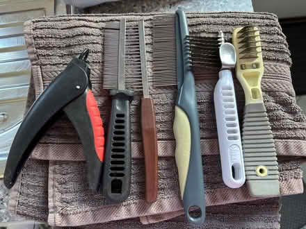 Photo of free Dog grooming (Elrick AB32) #1