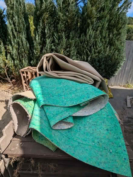 Photo of free About 40-45 m2 of carpet (Llwynmawr LL20) #2