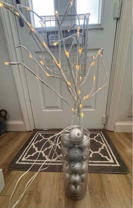 Photo of free Light up branches (Ware SG12) #1