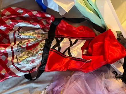 Photo of free Girls costume dresses accessories (SE25 selhurst) #2