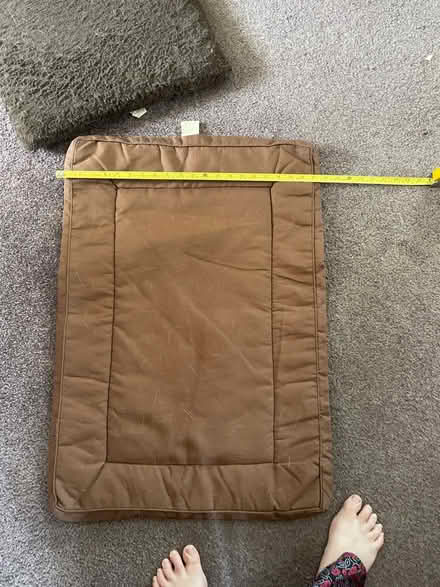 Photo of free Dog crate mat (Chelmsford CM2) #2